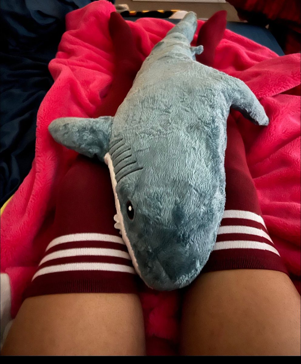 Tarachi45's tweet photo. Anyone wanna replace the shark? 
:3 

#femboy #femboysfw #femboythigh #bhalaj #femboypost #femboypic https://t.co/ABNOO3O14Q