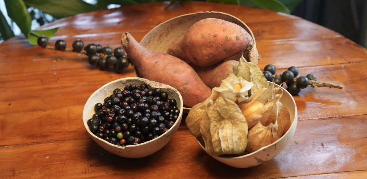 📢🌱 Hablemos de los #FrutosDeLaBioeconomía... literalmente.
En el evento de hoy, destacamos ingredientes naturales como el asaí, copoazú, camu camu y corozo, que pueden llevar a Colombia a competir en el mercado internacional y diversificar su economía. 🌍 (1/4)