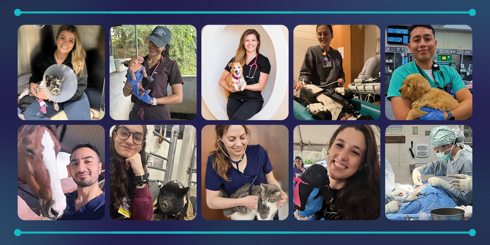 Congratulations to our 37 students and graduates who secured competitive positions within the 2025 Veterinary Internship and Residency Matching Program (VIRMP)! #SGUMatch

Read more: bit.ly/3DPzM0a