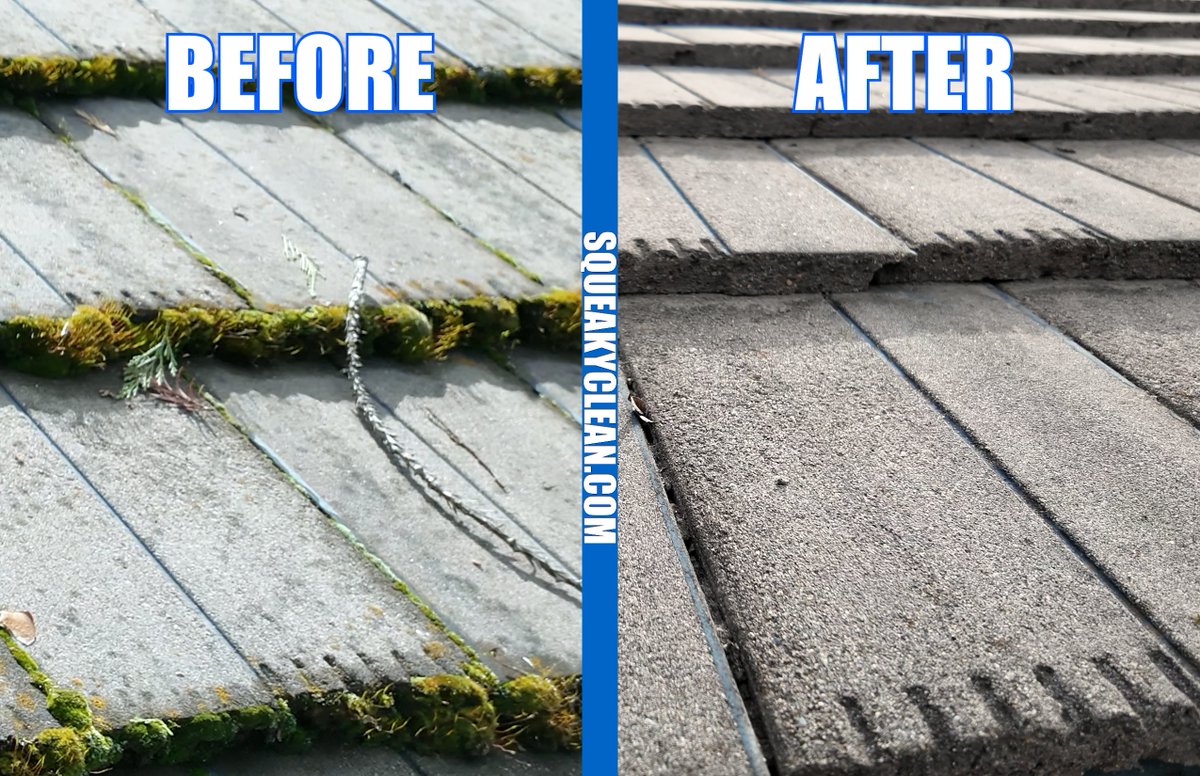 SqueakyClean916's tweet photo. Don't ignore that moss on your roof, Your insurance company won't! Call today to get your roof SQUEAKY CLEAN! 
#roofcleaning #roofmaintenance #softwashing #powerwashing https://t.co/4PiHfDQFV4