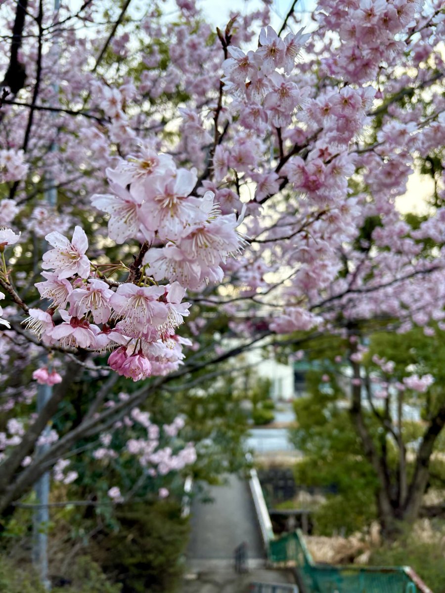 Spice Journal スパイスジャーナル(スパジャー)🪴 (@spicejournal