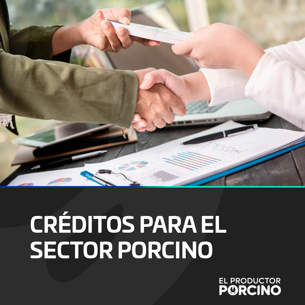 El Banco de Inversión y Comercio Exterior (BICE) lanzó una línea de créditos en UVA para productores porcinos, con cuotas en kilos capón y pagos en pesos según el valor de referencia mensual. Los préstamos, de hasta $800 millones, están destinados a ...

elproductorporcino.com/blog/news/cred…