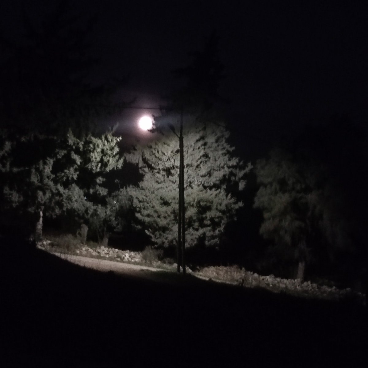 هاذ القمر الجميل 🌕
ك جمال قلبي ❤️
يلا اعترضو خلينا نخصر بعض واعمل الكم حظر 
وشكراً وعفواً 😌 
 وشوكران جازيلان 🫩 
نــكــ`ـود «