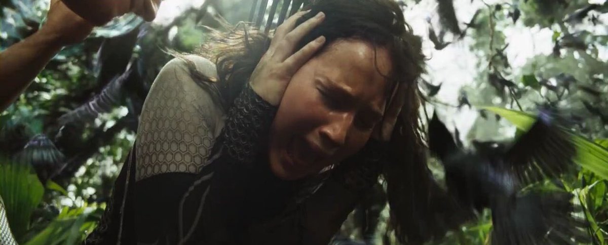 Funny how every time Hunger Games gets a new wave of hype, it just makes Jennifer Lawrence’s performance as Katniss look even better.

She carried that role, that franchise, EVERYTHING.