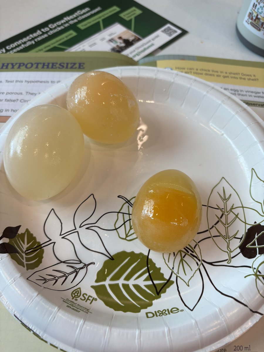 Mrs. Hawk PLTW KJH tweet media