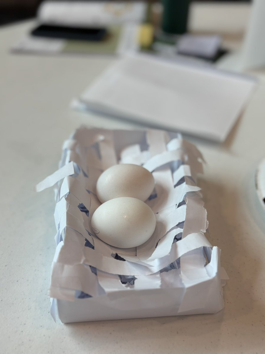 Mrs. Hawk PLTW KJH tweet media