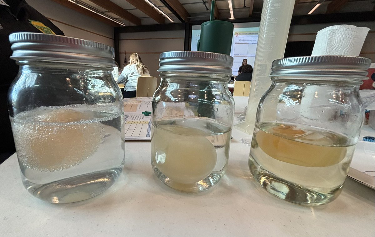 Mrs. Hawk PLTW KJH tweet media