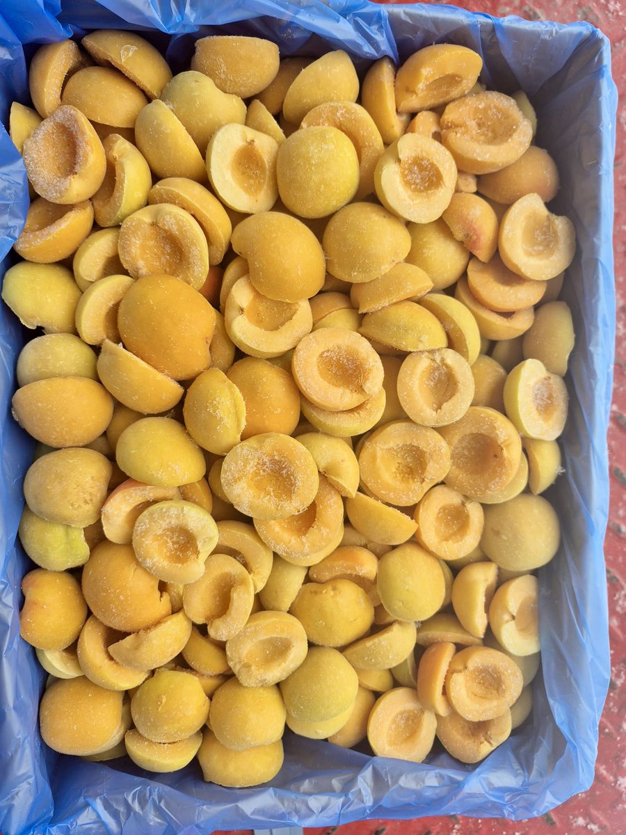 tiogafoods's tweet photo. It is APRICOT time now ! The best apricot comes from TÜRKİYE. 
If you have any demand never hesitate to send us your inquiry… https://t.co/mdOvaM73BY
