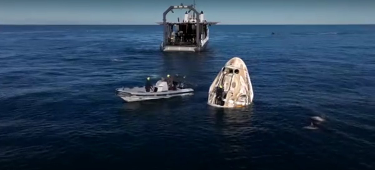 Jams_Bond's tweet photo. @SpaceX 🐬Dolphins assisting the Dragon 9
SpaceX recovery rigging team
🚀🛳️🇺🇲 https://t.co/iFLn0FSXPM