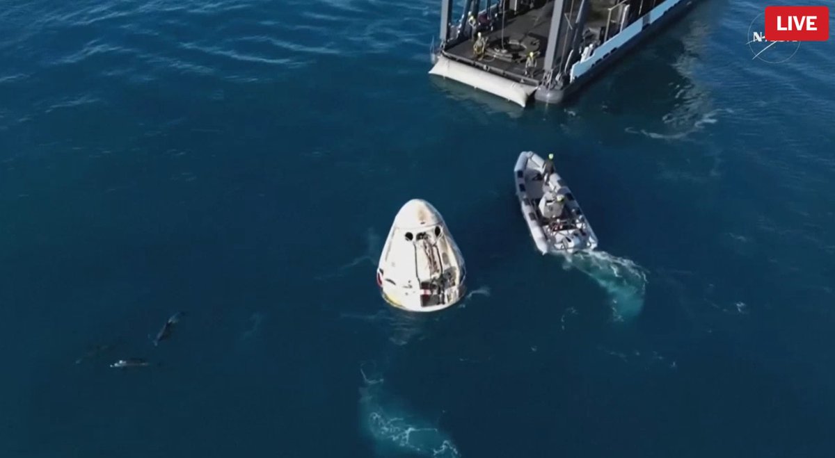 Dolphins (left lower corner) join humans in welcoming NASA astronauts back to Earth via SpaceX help. <a href="/elonmusk/">Elon Musk</a>