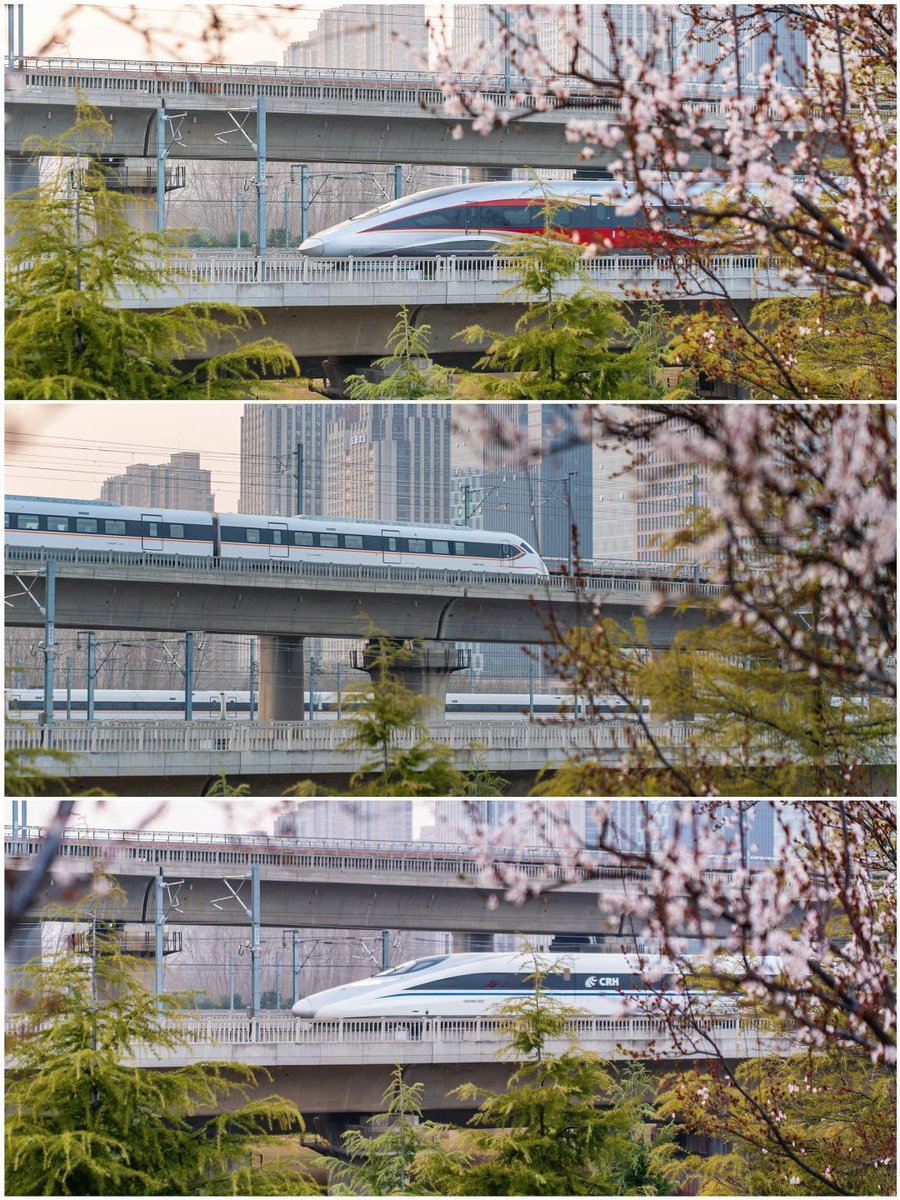 Where_Zhengzhou's tweet photo. Come to #Zhengzhou and capture the train heading into spring! 🚆🌸✨ Don't miss this beautiful seasonal moment!

#TravelInSpring #BlossomSeason #ScenicRailway #TrainJourney https://t.co/e5SENBf0eL