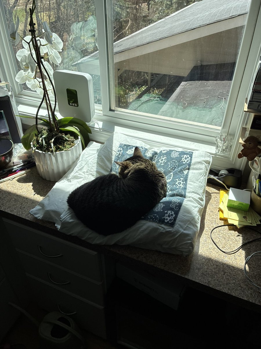 H T 🔋 🚗 🚀📈🇺🇦 tweet media