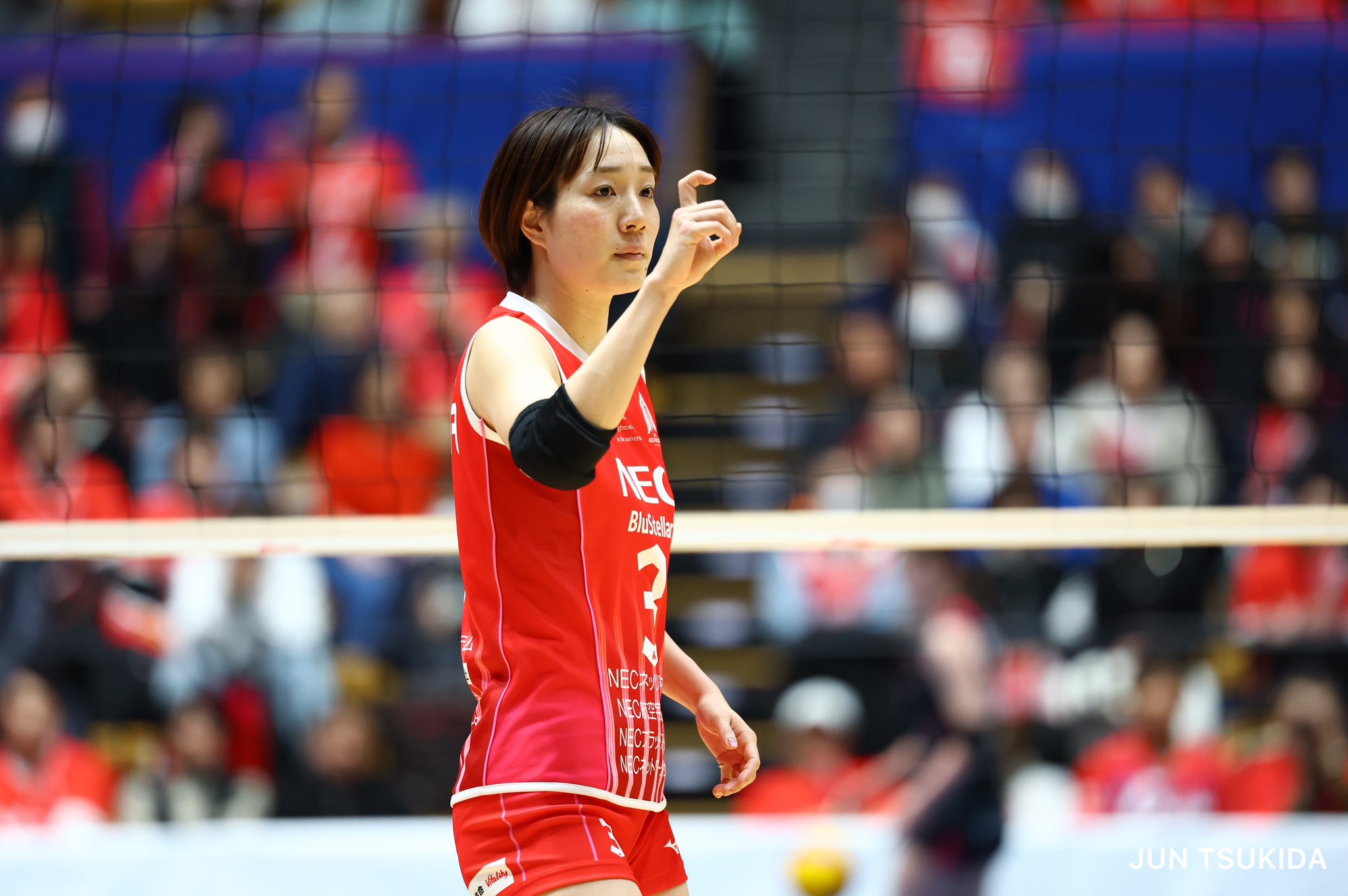 佐藤淑乃 (@sato__yoshino) / X 佐藤淑乃 (@sato__yoshino) / X