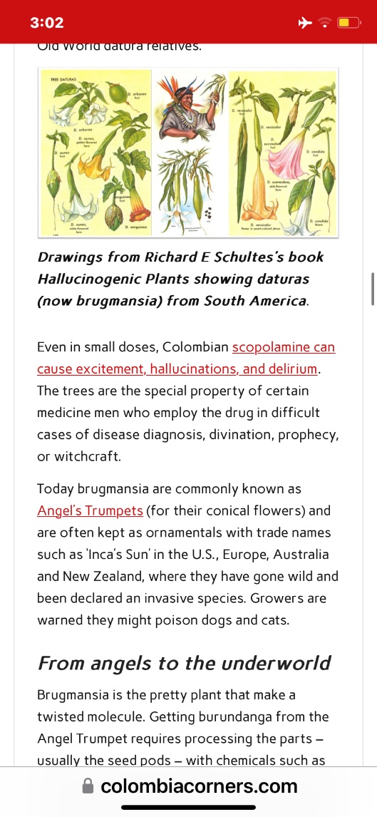 ⚡️Americas Oracle of Dolphins⚡️ tweet media