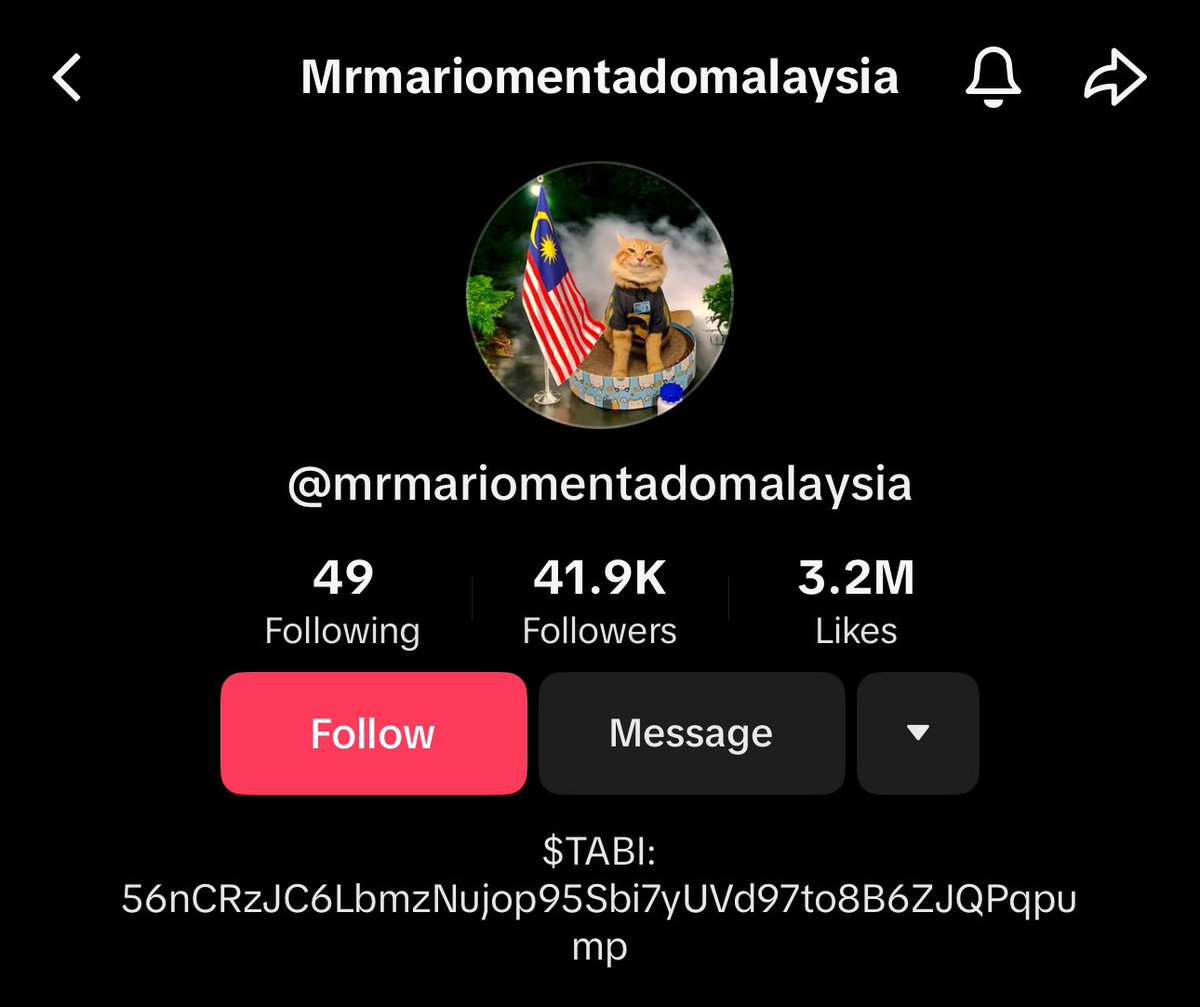 mrmariocat's tweet photo. THE OWNER PUT CA IN BIO. THIS IS SO HUGEEEE LFG! ❤️🐱 $TABI

https://t.co/BlawOZOSDy https://t.co/PzYKcHaomM