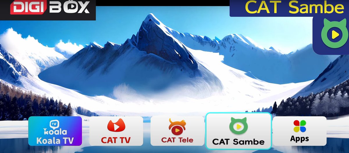 DIGIBoxStore's tweet image. 🚨 DIGIBox CAT Sambe 更新! 📺🎉
新しいポルトガル語のコンテンツが追加されました！🇵🇹🎶 これで、ポルトガル語の番組や映画をもっと楽しめます！ DIGIBoxで無限のエンタメをお楽しみください！
#DIGIBox #CATSambe #ポルトガル語 #エンタメ #digiboxd3plus