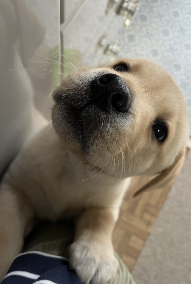 皆様　こんにちは♪
coccoにたくさんの可愛いをありがとうございました😊