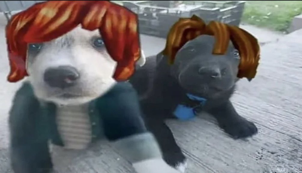Roblox Out Of Context (@rbxoutofcontext) on Twitter photo 