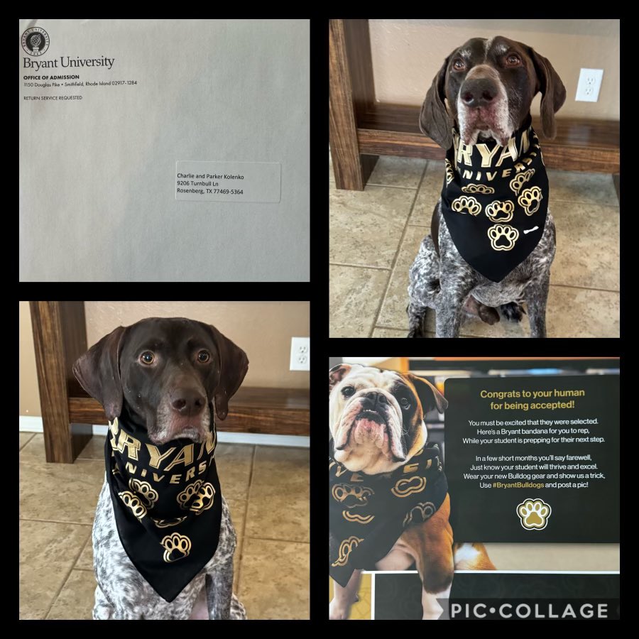 Ella kolenko (@ellakolenko2025) on Twitter photo Doggies got some mail today!!! ๐ถ๐ถ#BryantSoftball #BryantUniversity <a href="/BryantSoftball/">Bryant Softball</a> Doggies got some mail today!!! ๐ถ๐ถ#BryantSoftball #BryantUniversity <a href="/BryantSoftball/">Bryant Softball</a>