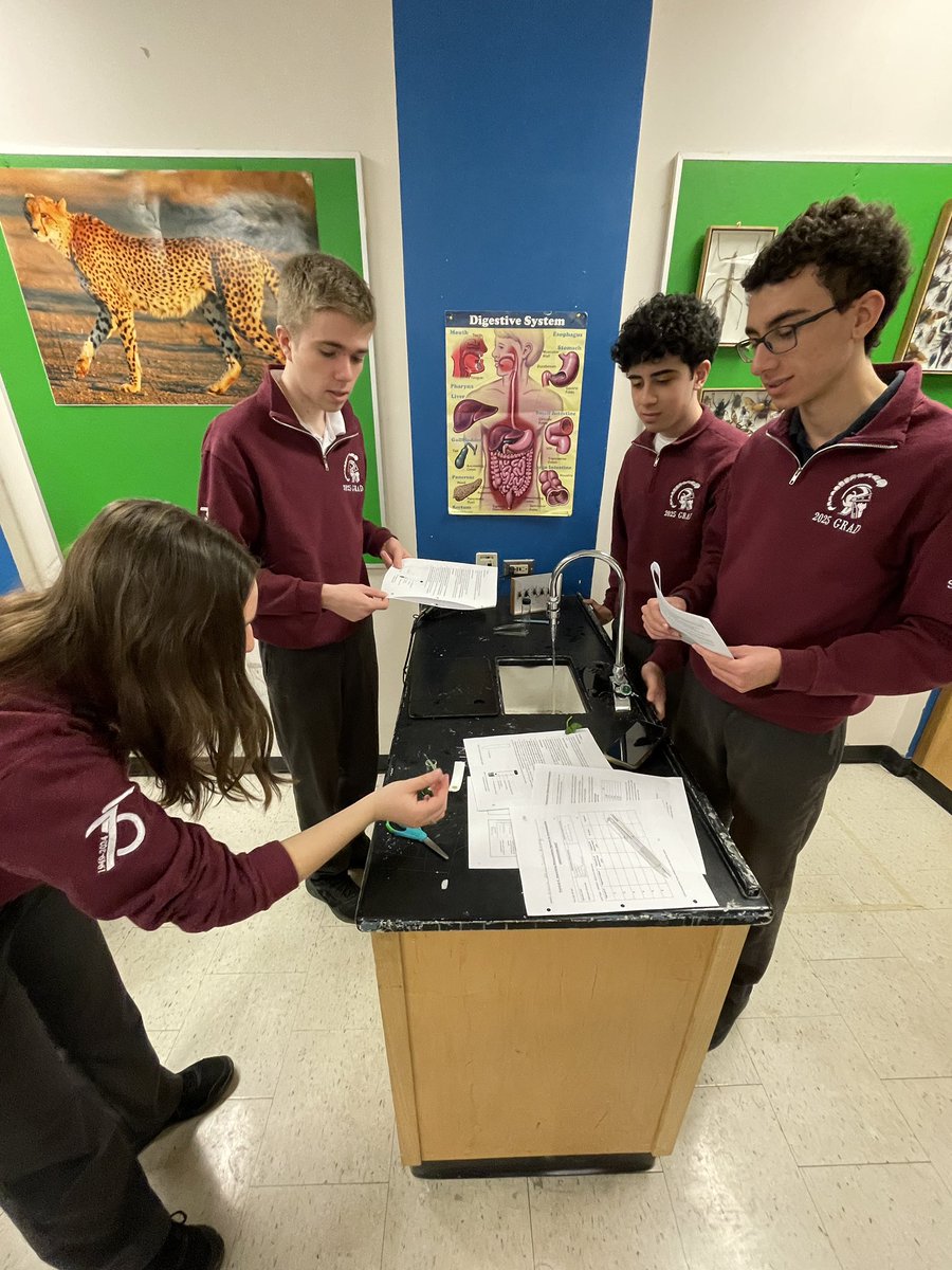 Our Gr 12 IB Biology students perform a chromatography lab to separate and identify the pigments in spinach leaves. 🍃 #mpsjbio <a href="/MPSJ_TCDSB/">Michael Power/St. Joseph High School</a> <a href="/PowerIB/">MPSJIB</a>