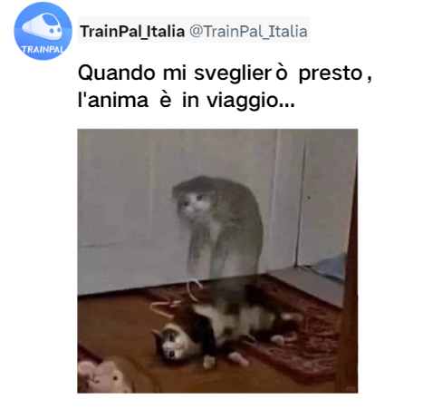 TrainPal_Italia's tweet image. Quando devo alzarmi presto per lavorare nei giorni feriali, ma l'anima è già in viaggio.

#trainpal #lavoro #viaggio