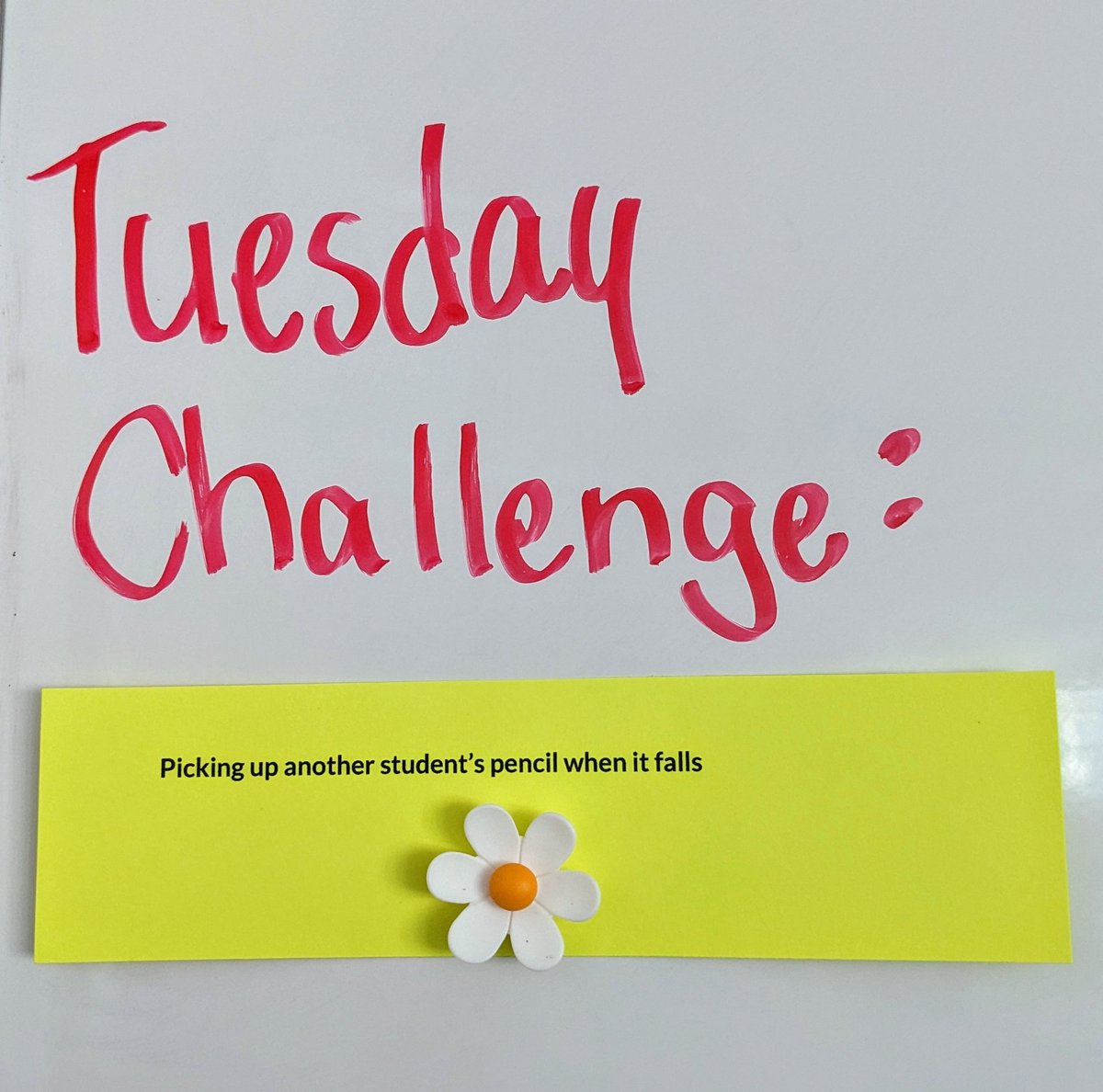 My class decided to create a challenge on Tuesdays thanks to the <a href="/StAlphonsaDP/">St. Alphonsa Catholic Elementary School</a> FDK team! Two students stayed to help clean up before lunch 💕🙏🏽