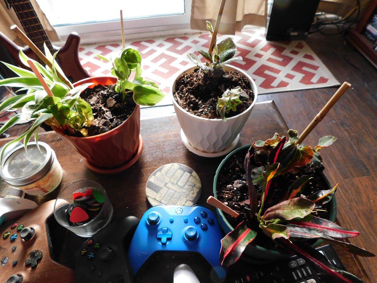 Lots of new plant projects starting.