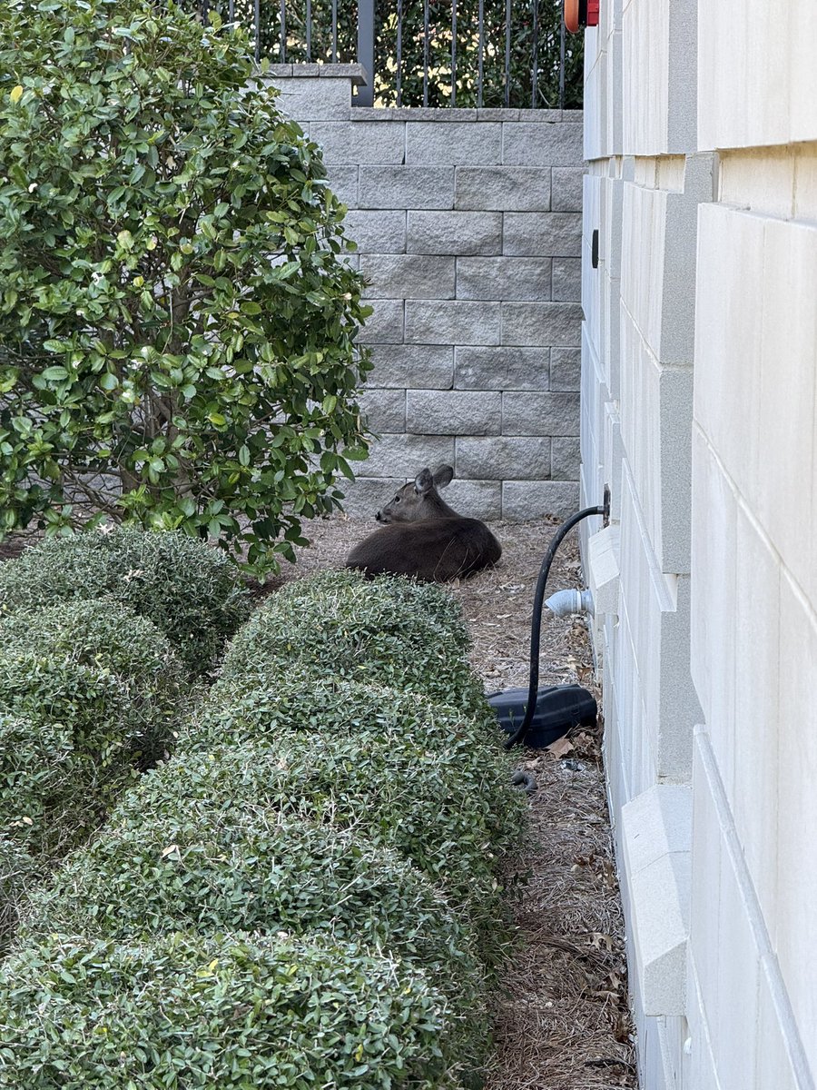 7Swish's tweet image. 