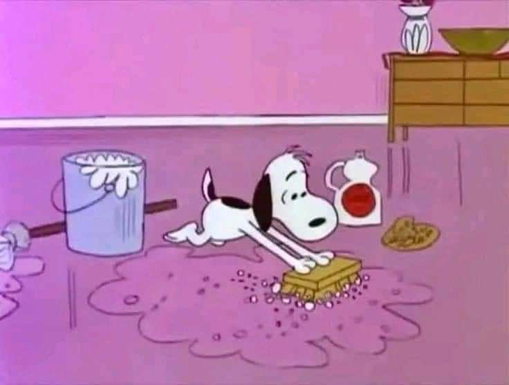Daily Snoopy tweet media