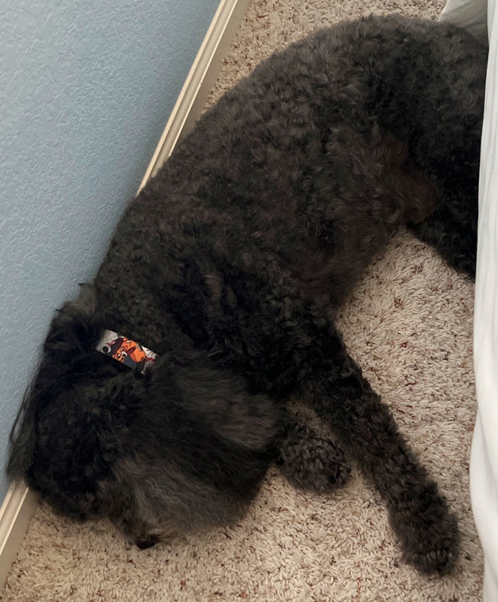 So… serum 2 is out… and a lot of the new features got me thinking: can I do a whole production using serum stuff on everything except the vocal? Let’s find out today on stream! 5pm pacific.