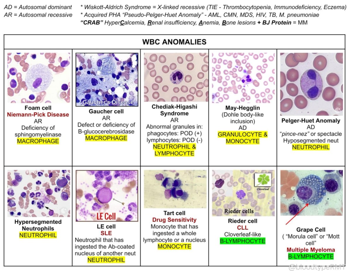 bloodtypeRMT's tweet image. WBC ANOMALIES QUICKIES + GALLERY

pramis iyayassify ko pa ito after BE pero ito na lang muna for now 😭

feel free rin po mag-reply/dm kapag may mali or kulang 👉👆