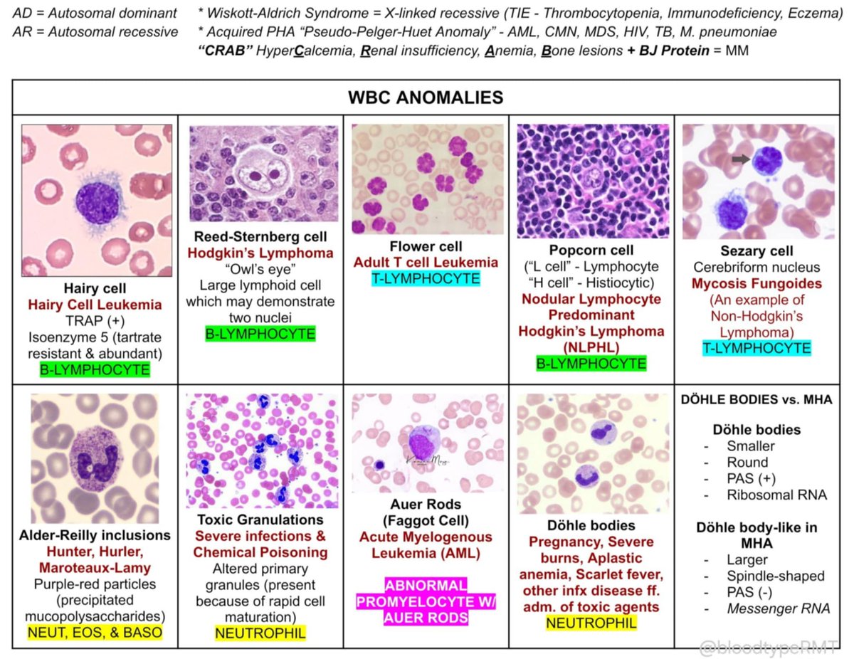 bloodtypeRMT's tweet image. WBC ANOMALIES QUICKIES + GALLERY

pramis iyayassify ko pa ito after BE pero ito na lang muna for now 😭

feel free rin po mag-reply/dm kapag may mali or kulang 👉👆