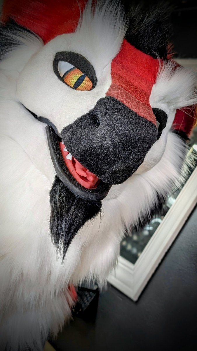 Say hi to Jasper the sergal! Our new premade ♥️🧀