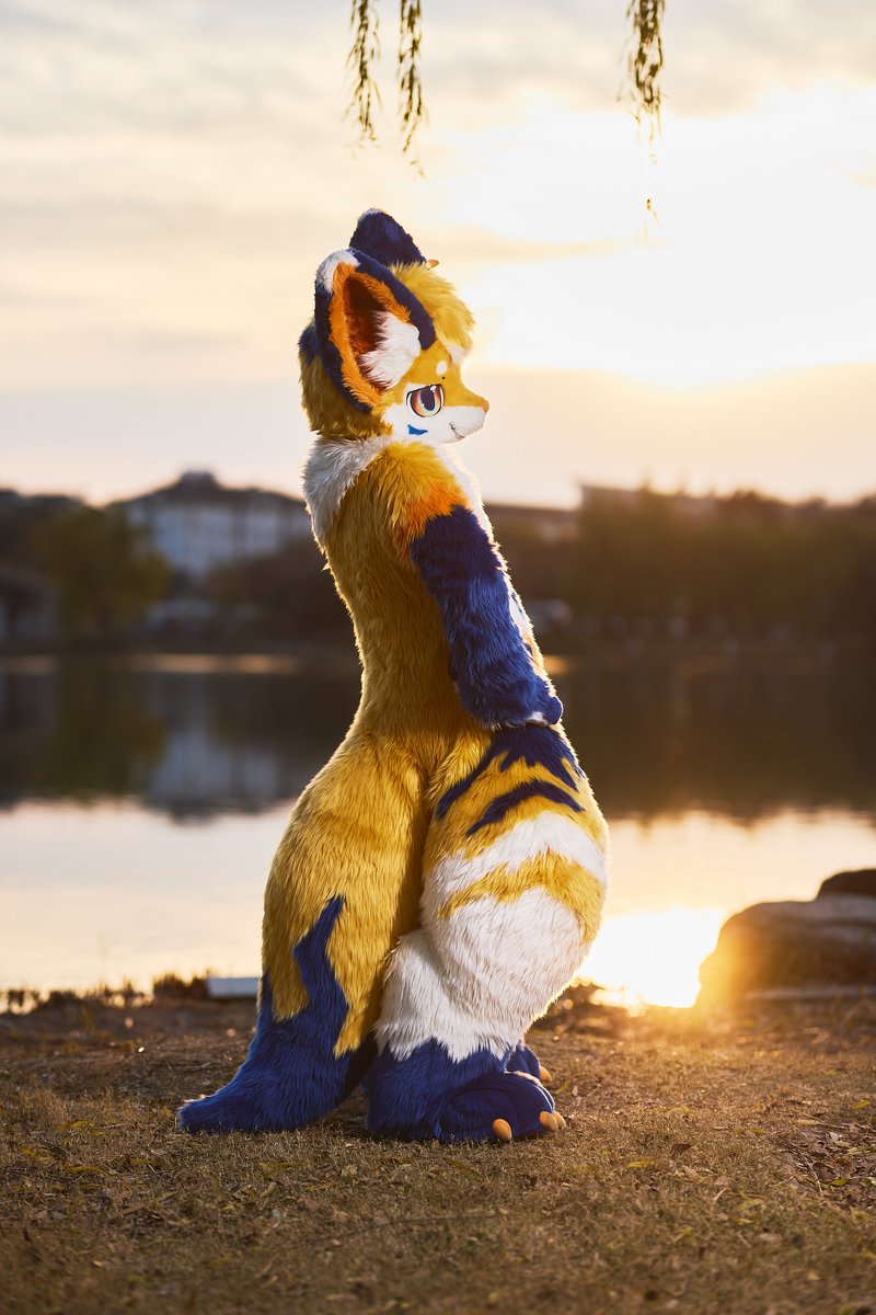 언제 올거야...? 🥹

#Fursuit #FursuitEveryday