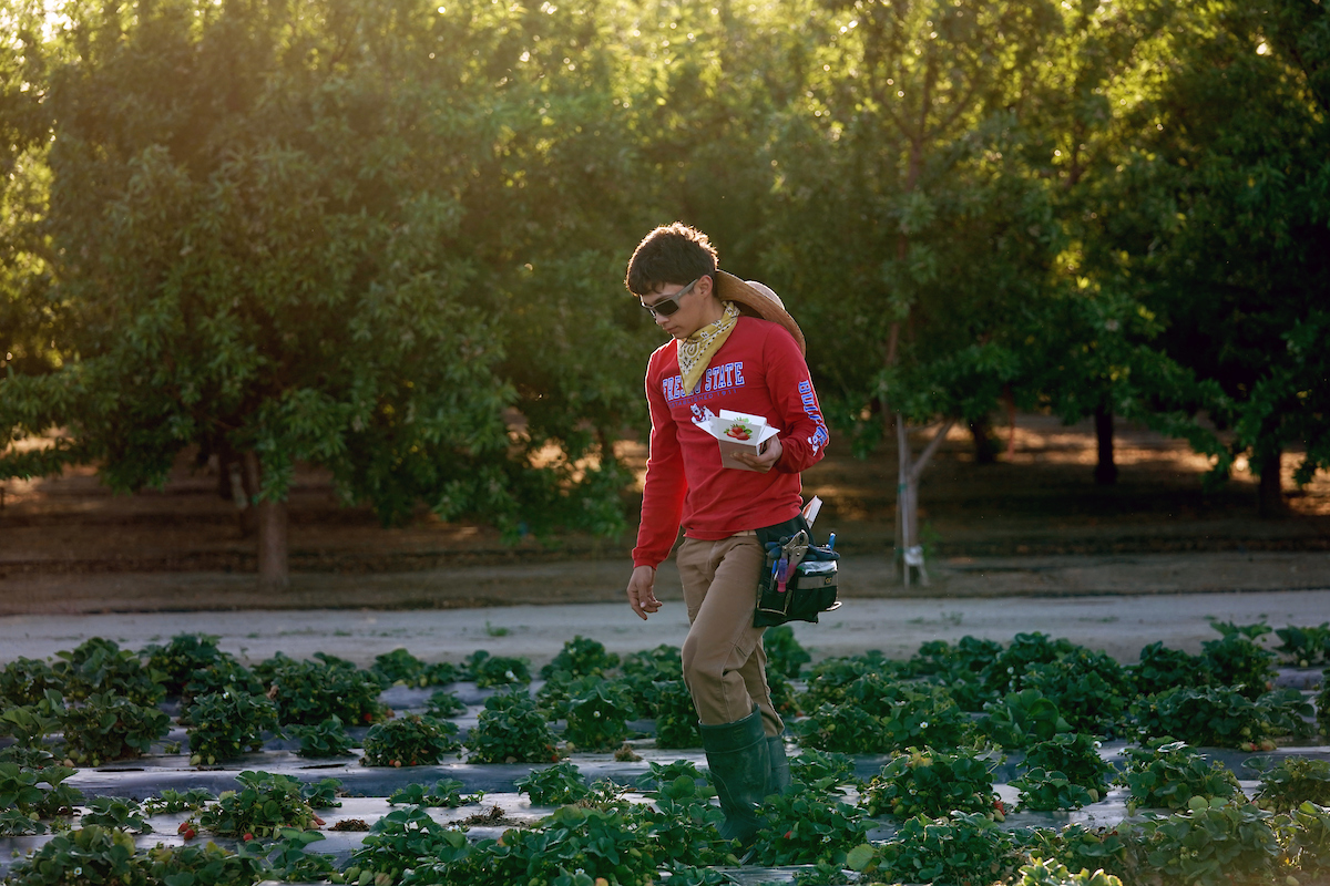 Happy National Ag Day! 🌾🚜 

Agriculture shapes the Central Valley and Fresno State is no exception. Through hands-on learning and research, ag students are preparing to tackle the future of farming.

Today, we celebrate the people and work that keep our communities thriving.