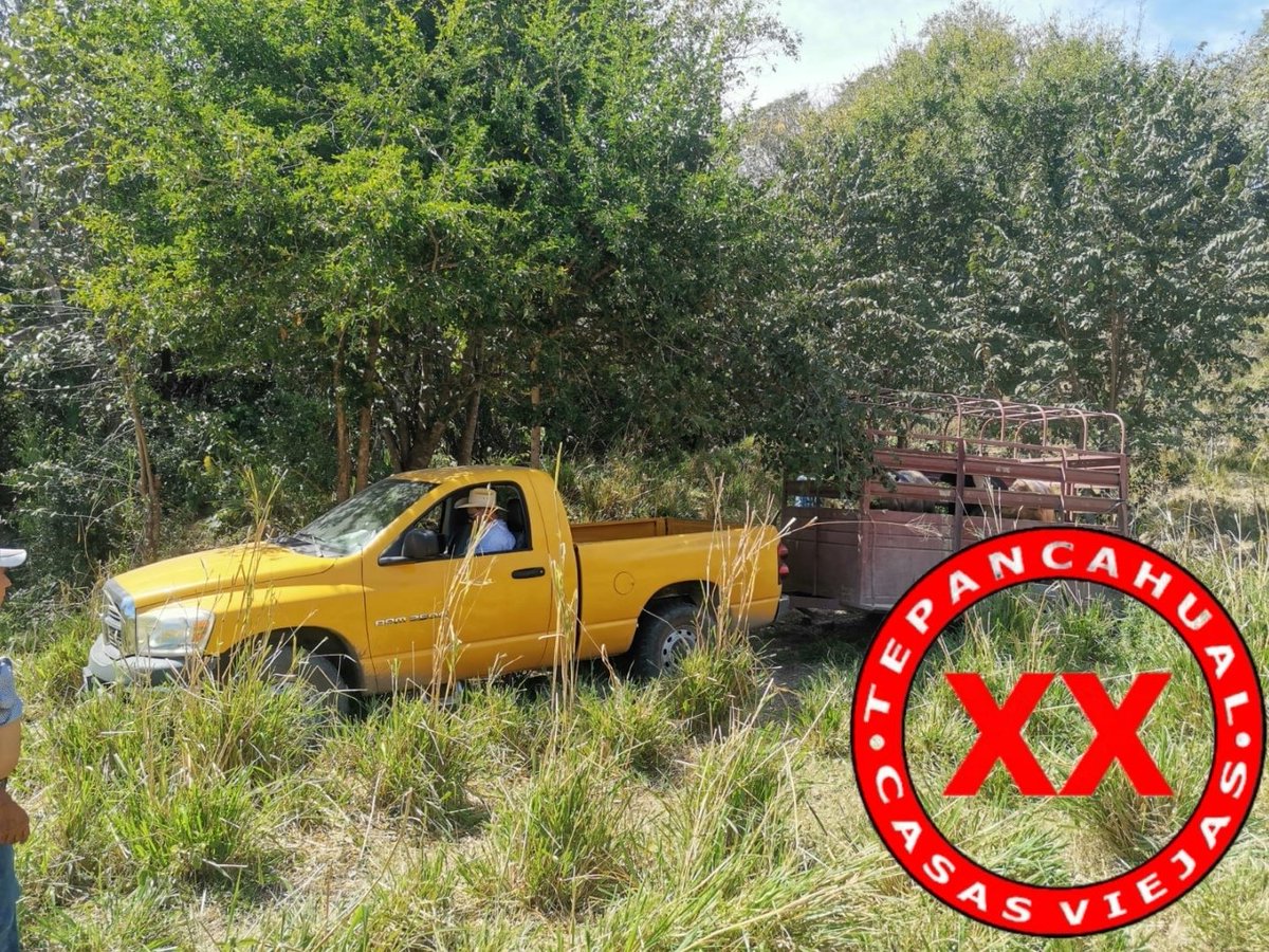 Ranchosybrechas's tweet photo. Ahí nomas, al llegue las "XX" bien puestas en estos becerros.
.
.
.
.
.
.
.
.
#rancho #ranchlife #postalesdelcampo #ganado #cattle #ElCampoNoPara #SoyRanchero #Huasteca #Veracruz #Chiconamel #RanchoCasasViejas https://t.co/g4dB29P6MV