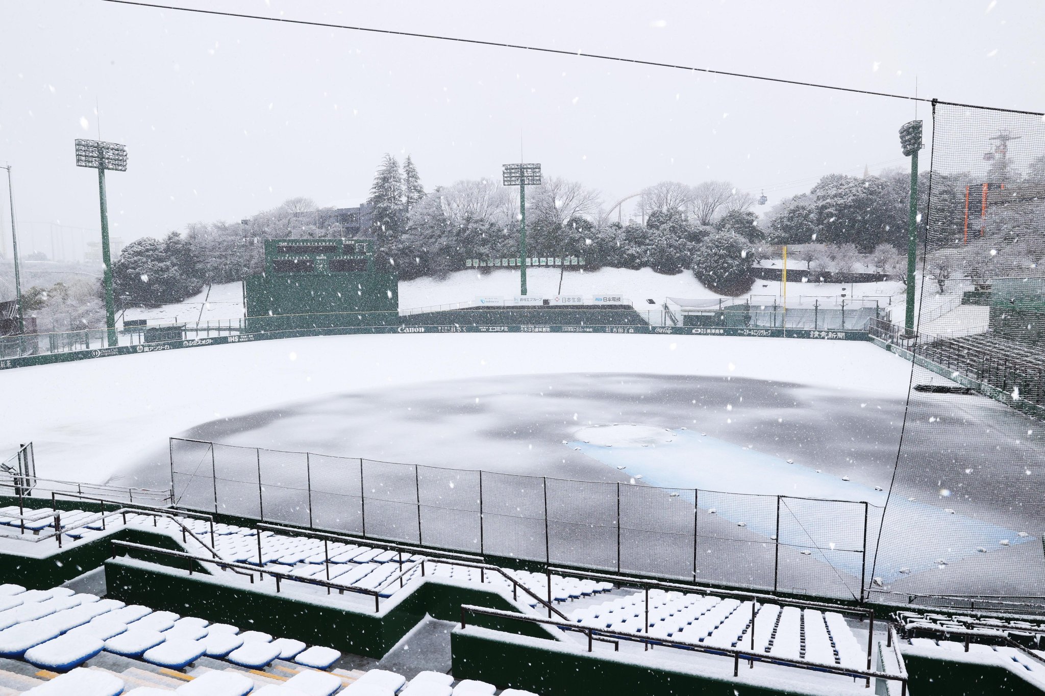 阪神甲子園球場☆阪神vs巨人☆一塁側アイビーシート☆通路側☆2