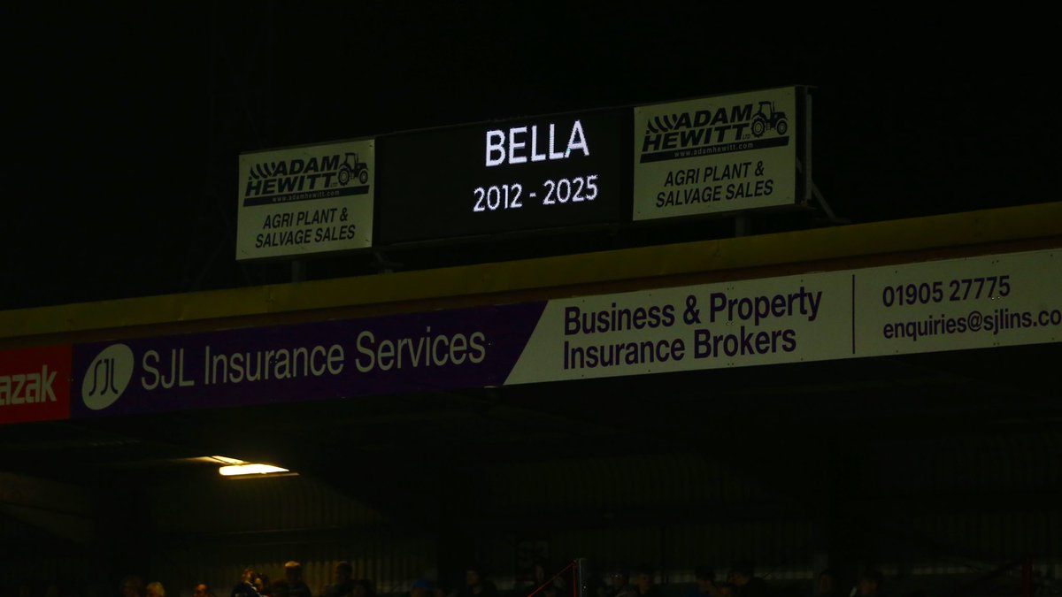 khfcofficial's tweet image. 💓