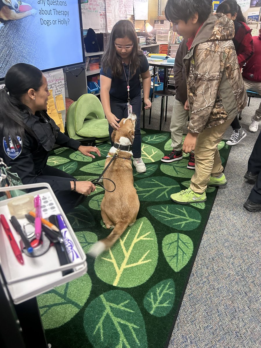 Mrs. Rivas M. Ed. tweet media