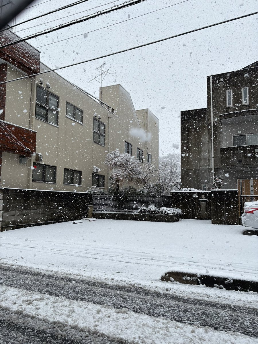 大雨ではなく、大雪なんですけど。