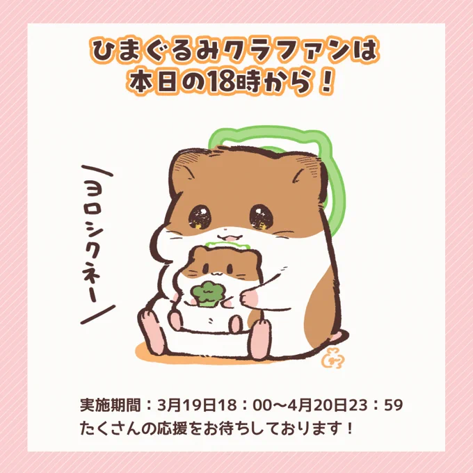 ひまちゃんぬいぐるみプロジェクトは本日18時から!! 