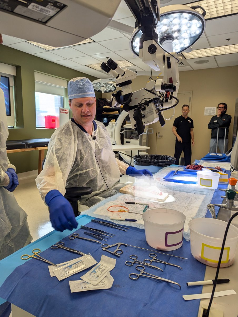 Crystal Lincoln tweet media