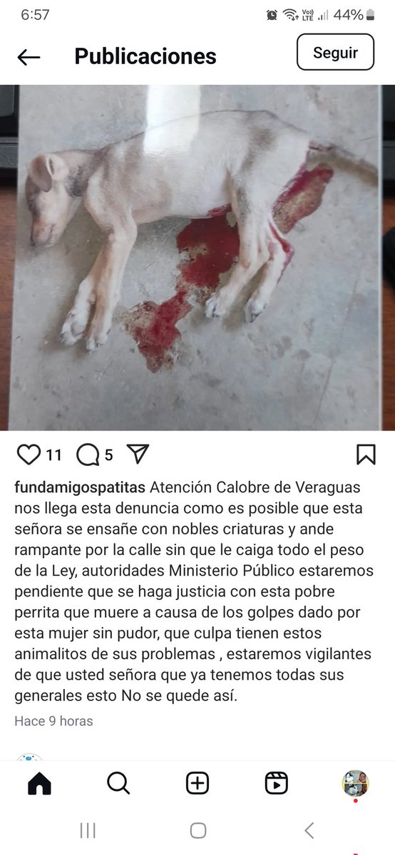 Milagros VS  (@kimesin22) on Twitter photo 