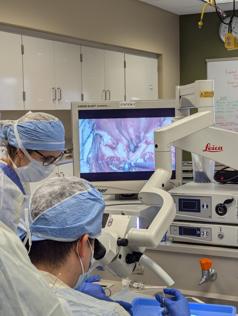 Crystal Lincoln tweet media