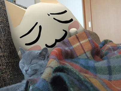 Toro Inoue / 井上トロ (@ddi_bot) on Twitter photo 