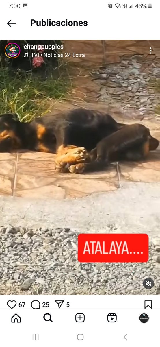 Muriendo en Atalaya, Veraguas