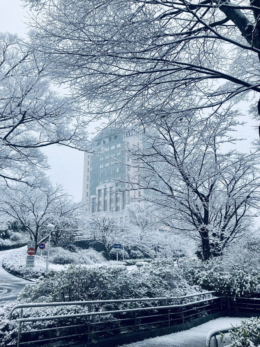 創価大学広報 on X: 