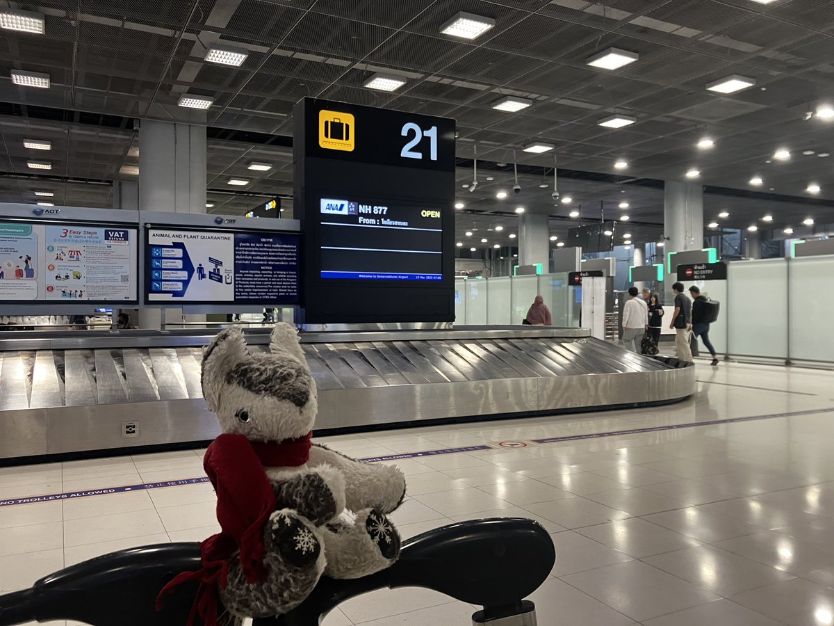 wolfroof's tweet photo. Landed at BKK
3ヶ月ぶり #wolfytrip https://t.co/XA7Jcy9KSN