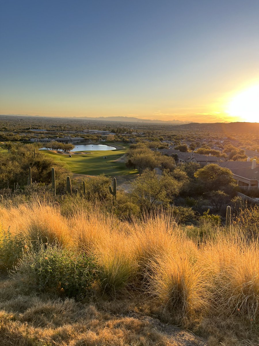 Mark Pumm tweet media