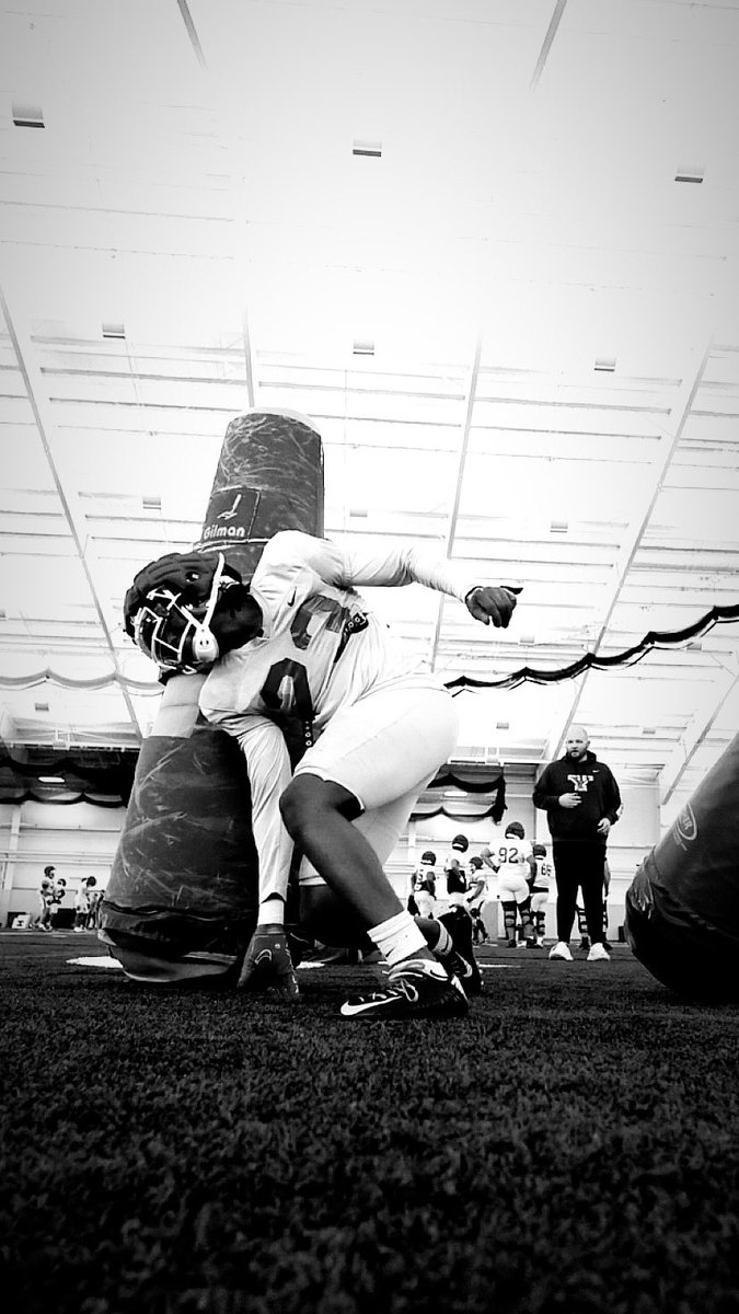 Spring ball 🦈
